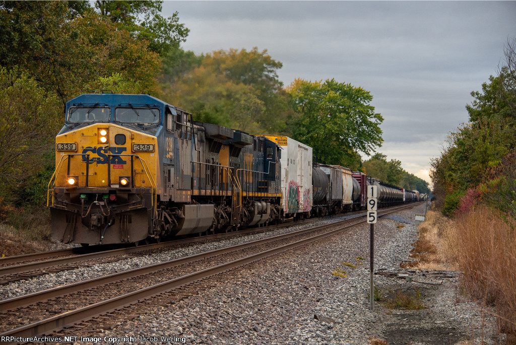 CSX 393